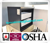 Metal Fire Resistant File Cabinet For Anti Magnetic , Magnetic Proof Safety Cabinets